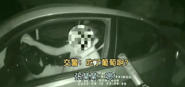 酒駕司機遇查，反復“甩鍋”葡萄稱自己沒喝酒……